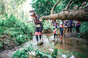 BIB: 
                            <button type="button" onclick="openModal(25516968)" class="btn btn-primary btn-sm float-right btn-popup" data-toggle="modal" data-target=".modal-high-quality">
                        <i class="fas fa-shopping-cart"></i> Add to Cart
                    </button>
                                            <button type="button" onclick="isThisMe(25516968, true)" class="btn btn-success btn-sm float-right btn-popup btn-isme hidden" data-toggle="tooltip" data-placement="bottom" title="นี่คือรูปของคุณใช่ไหม คลิกที่นี่เพื่อเอาเข้าอัลบั้ม">
                        <i class="fas fa-plus"></i> Add to album
                    </button>
                    <button type="button" onclick="isThisMe(25516968, false)" class="btn btn-warning btn-sm float-right btn-popup btn-isnotme hidden">
                        <i class="fas fa-ban"></i> Remove from album
                    </button>